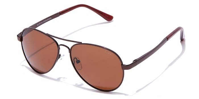 Elite by Coolwinks S15C6432 Brown Polarized Pilot Sunglasses for Men and Women-BROWN-1