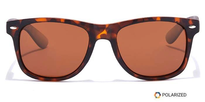 ELITE by Coolwinks S15C5469 Brown Polarized Retro Square Sunglasses for Men and Women-