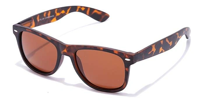 ELITE by Coolwinks S15C5469 Brown Polarized Retro Square Sunglasses for Men and Women-BROWN-1