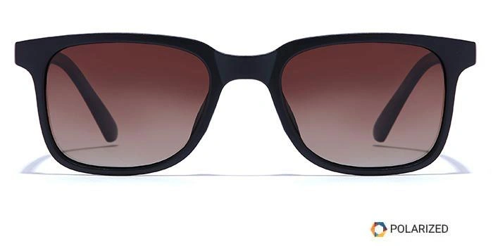 ELITE by Coolwinks S15C5565 Brown Polarized Retro Square Sunglasses for Men and Women-