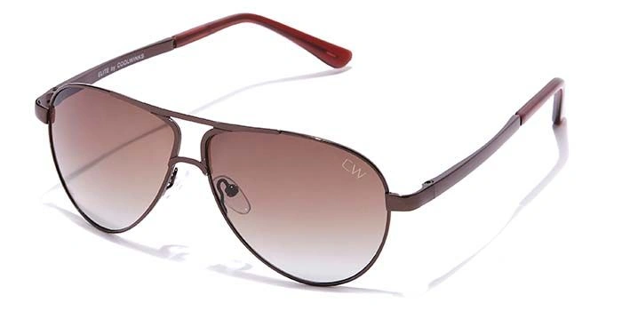 Elite by Coolwinks S15B6458 Brown Tinted Pilot Sunglasses for Men and Women-BROWN-1