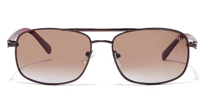 Elite by Coolwinks S15B6503 Brown Tinted Pilot Sunglasses for Men and Women-