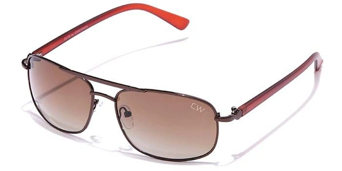 Elite by Coolwinks S15B6503 Brown Tinted Pilot Sunglasses for Men and Women-BROWN-1