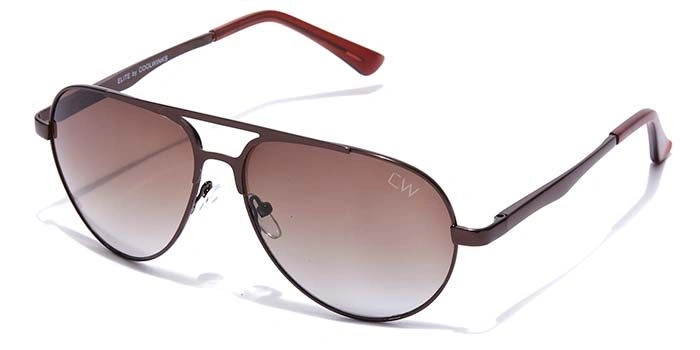 Elite by Coolwinks S15C6441 Brown Tinted Pilot Sunglasses for Men and Women-BROWN-1