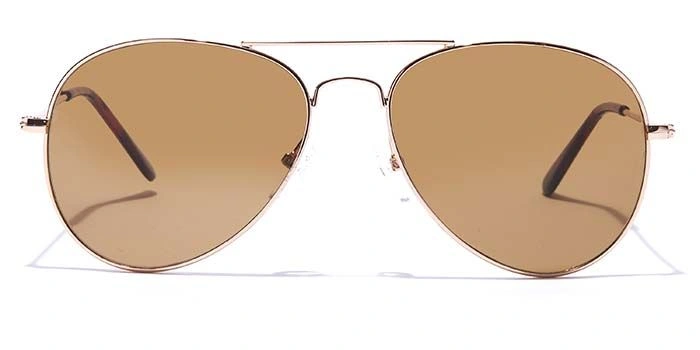 ELITE by Coolwinks S16B5296 Brown Tinted Pilot Sunglasses for Men and Women-