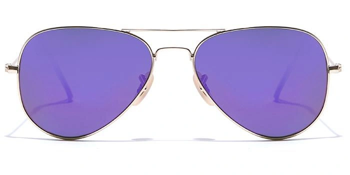 ELITE by Coolwinks S25B6297 Purple Mirror Pilot Sunglasses for Men and Women-