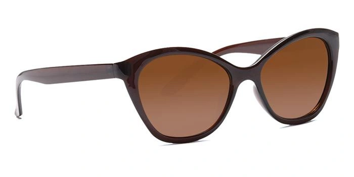 JRS by Coolwinks S15C5727 Brown Tinted Cateye Sunglasses for Women-BROWN-2