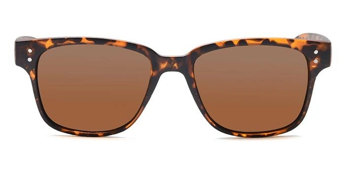 JRS by Coolwinks S15C5862 Brown Tinted Retro Square Sunglasses for Men and Women-