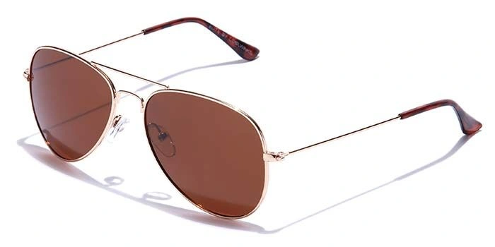 ELITE by Coolwinks S15A5614 Brown Polarized Pilot Sunglasses for Men and Women-BROWN-1