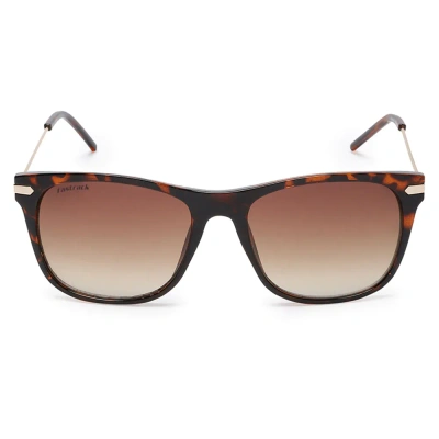 Square Shiny Regular Sunglasses
