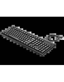 HP Keyboard 100