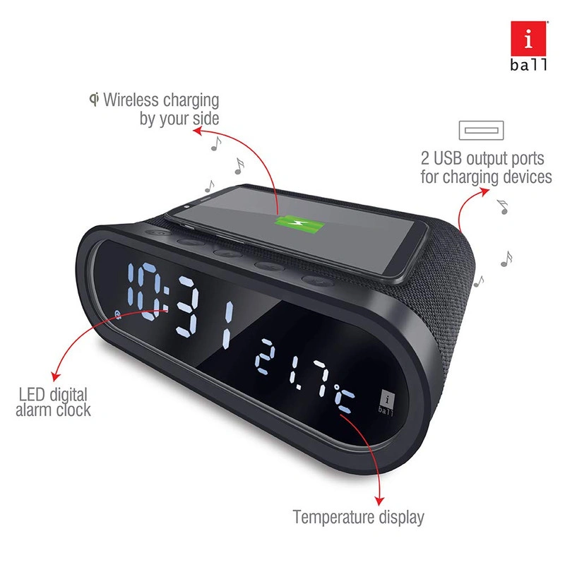 iBall Portable Speaker Musi Home Pro-