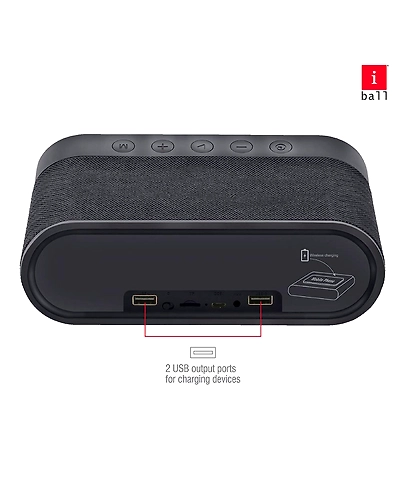 iBall Portable Speaker Musi Home Pro-1