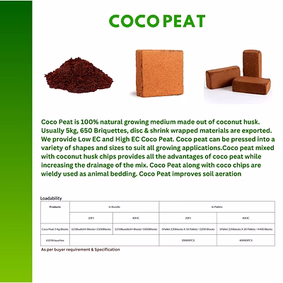 Coco Peat-12831805