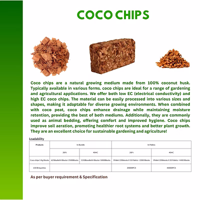 Coco Peat-1