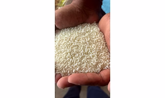 Sona Masoori steam basmati rice