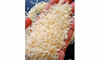1121 steam basmati rice