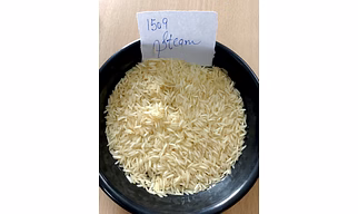 1509 steam basmati rice