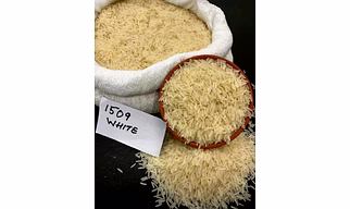 1509 white sella basmati rice
