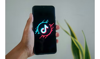 TikTok Live Streamer Management