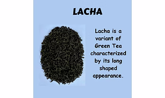 MMISHTEA Lacha Green Tea
