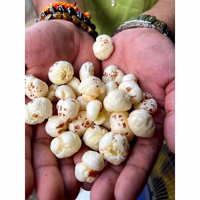 foxnut makhana
