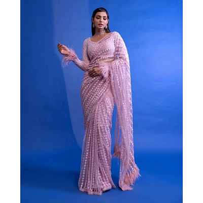 ynf soft net saree with feather lace pallu & sequins embroidery blouse
