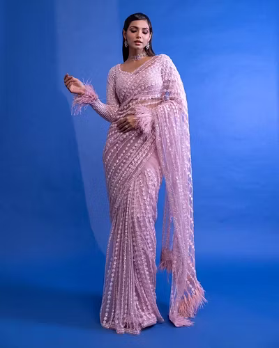 Soft Net Saree with Feather Lace Pallu &amp; Sequins Embroidery Blouse-RNC5280
