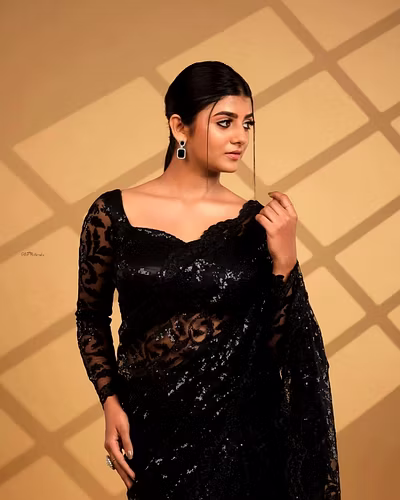Soft Net Saree with C Pallu Sequins Embroidery Work and Net Sequins Blouse-3