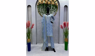 Tabby Organza Outfit: Elegant Thread Work with Lace Details