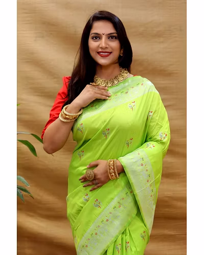 Elegant Pure Silk Handloom Saree with Jari Border and Pallu-Perrot-1