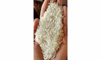 Premium Aged Basmati Rice