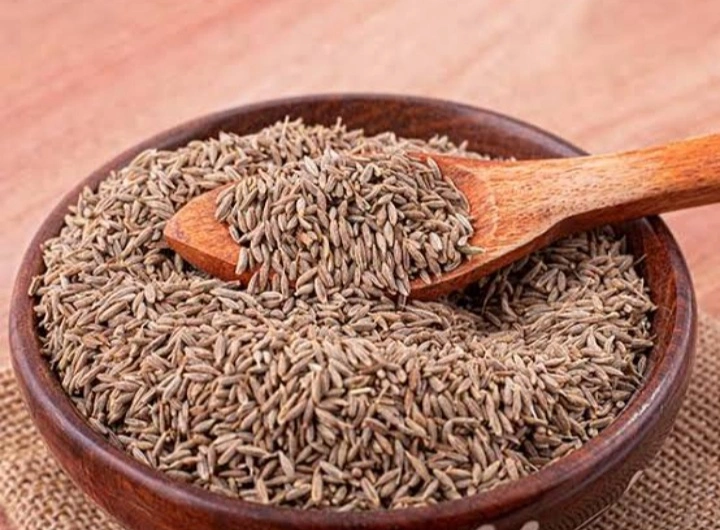 Cumin Seeds-1