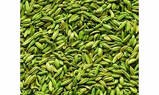 Fennel Seeds