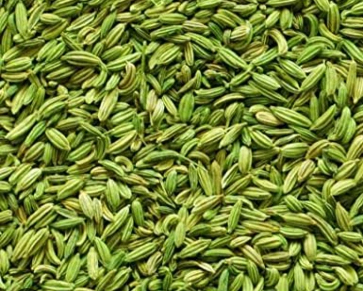 Fennel Seeds-1