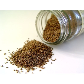 Thymol Seeds
