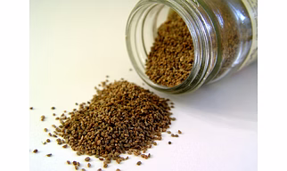 Thymol Seeds