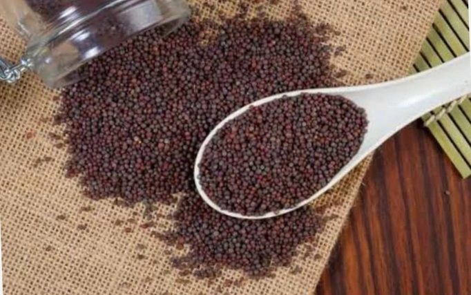 Mustard Seeds-1