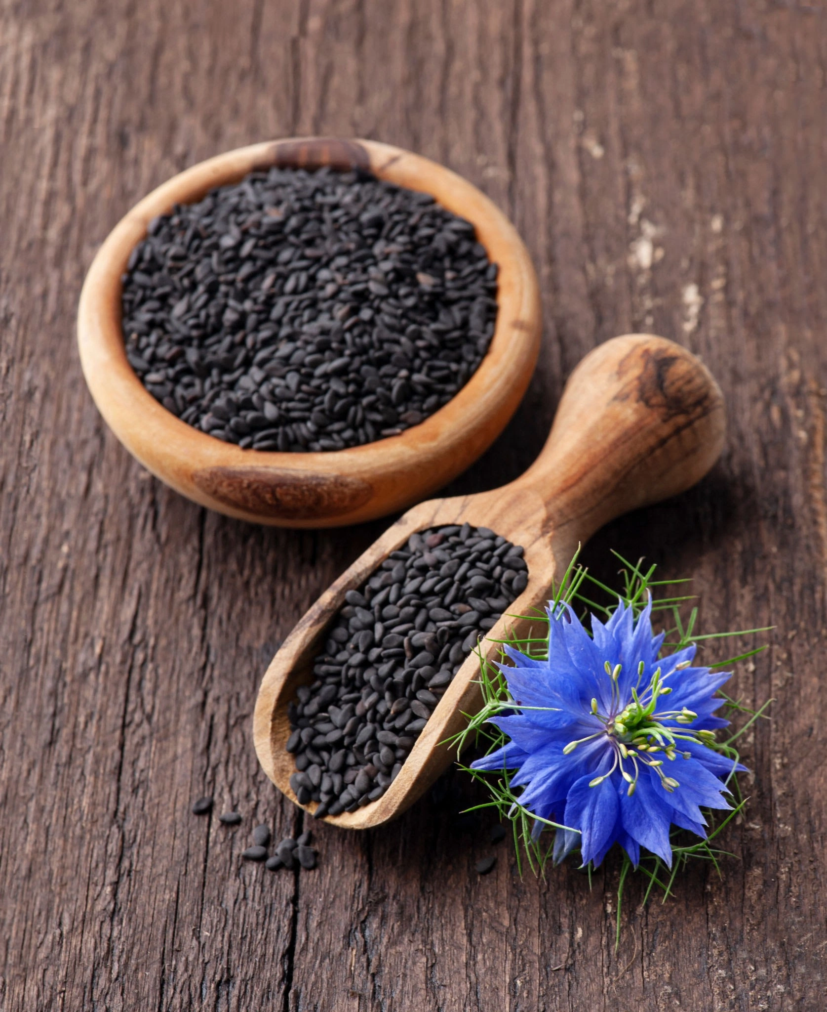 Nigella Seeds-1