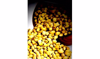 Coriander Seed