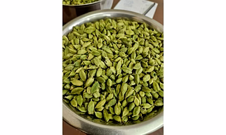 Cardamom