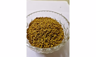 Fenugreek