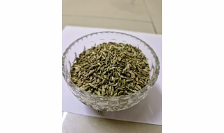 Fennel seed