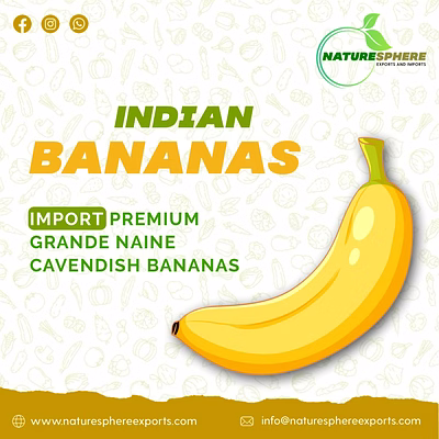 g9 cavendish banana