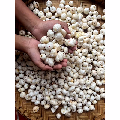 raw makhana – premium grade white lotus seeds