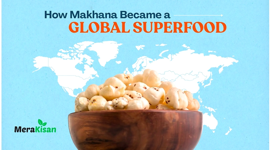 How Makhana (Fox Nut) is the Perfect Healthy Alternative to Junk Snacks