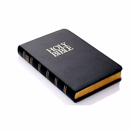 holy bible bibles