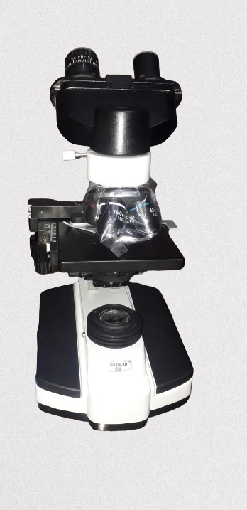 light binocular microscope-12610920