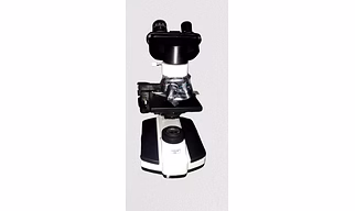 Binocular Biological Microscope