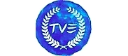 THE VERSATILE EMPORIO-logo